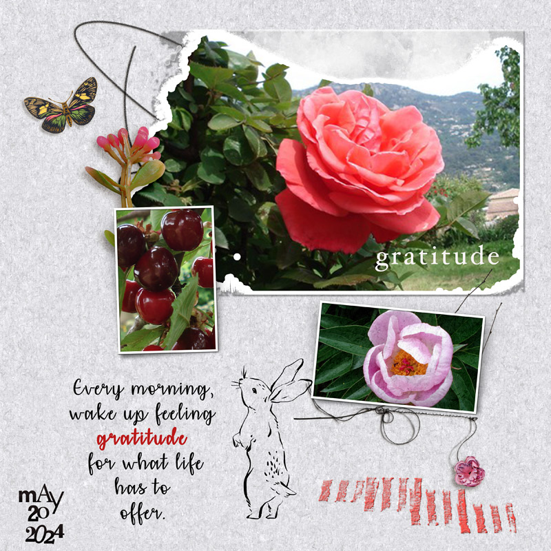 Gratitude