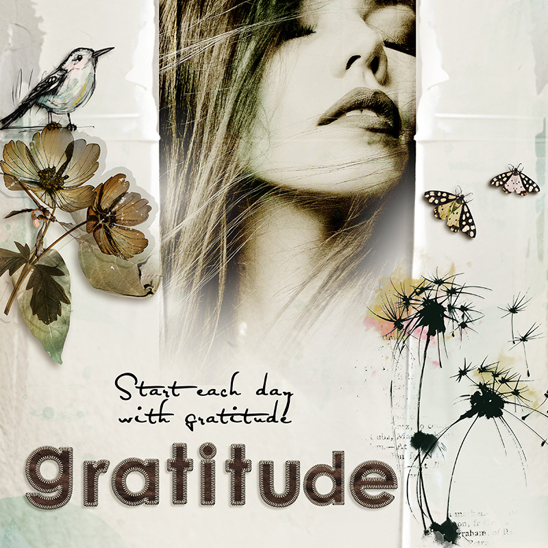 Gratitude