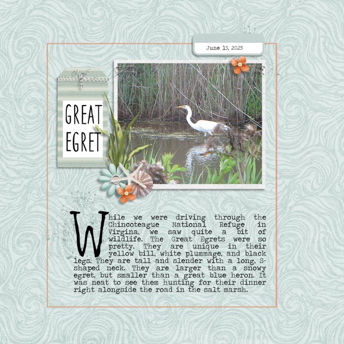 Great Egret