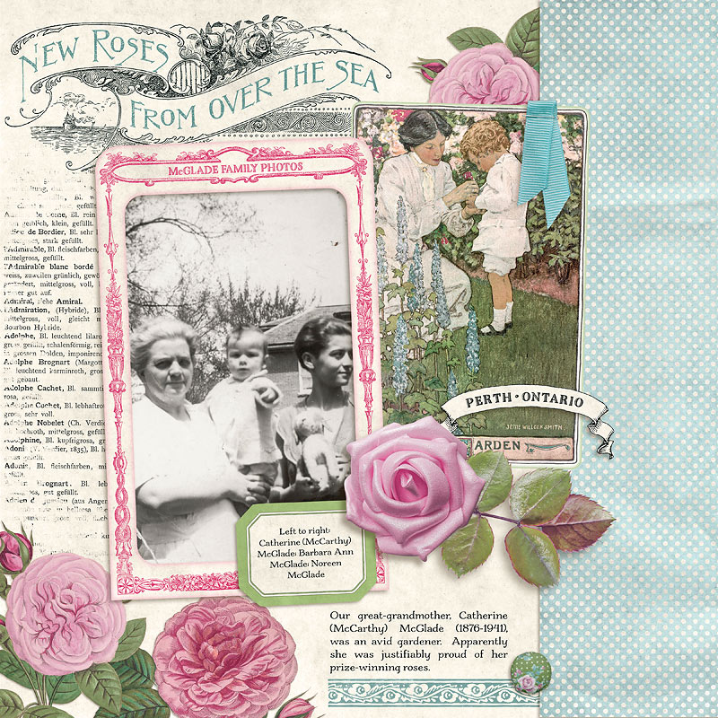 Great-Grandmother's Roses