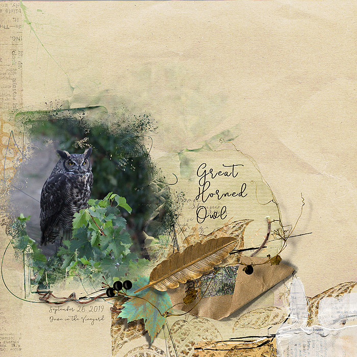 Great Horned Owl