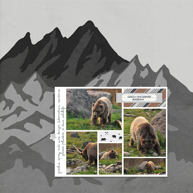 Grizzli Encounter
