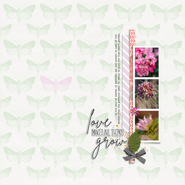 Grow-Love---Day-19