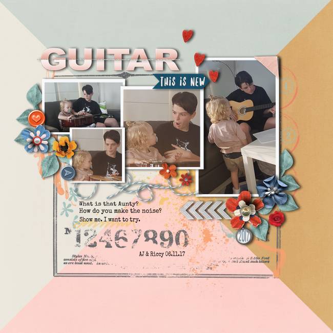 Guitar