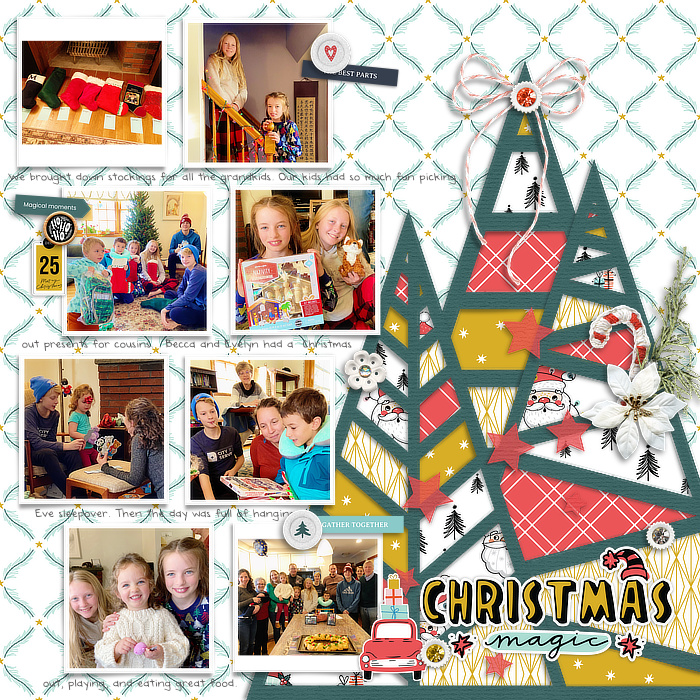 HaigChristmasweb7