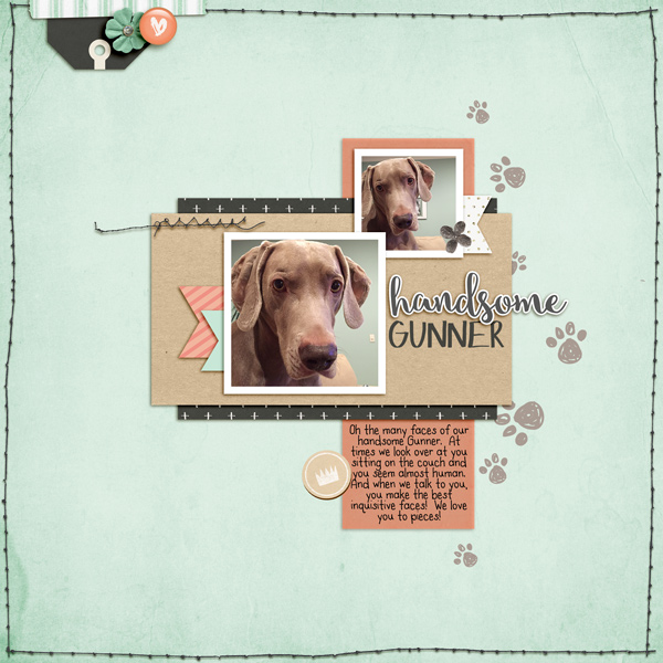 Handsome Gunner