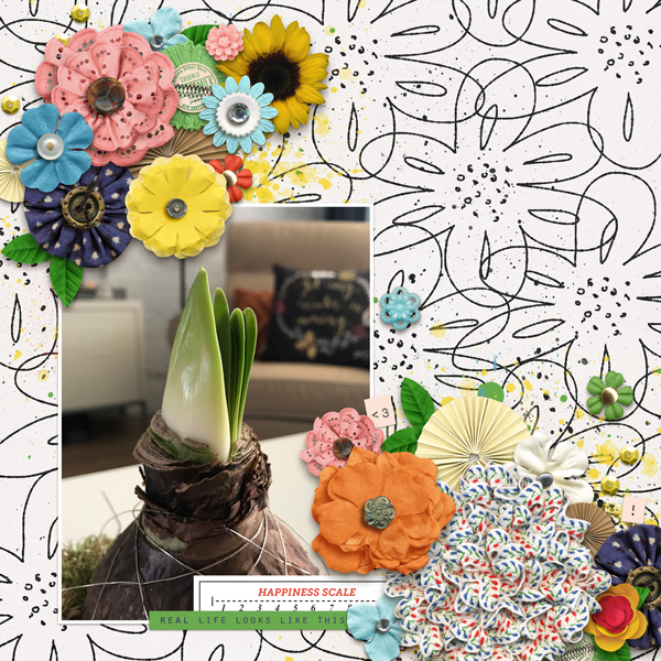 Happiness flowers