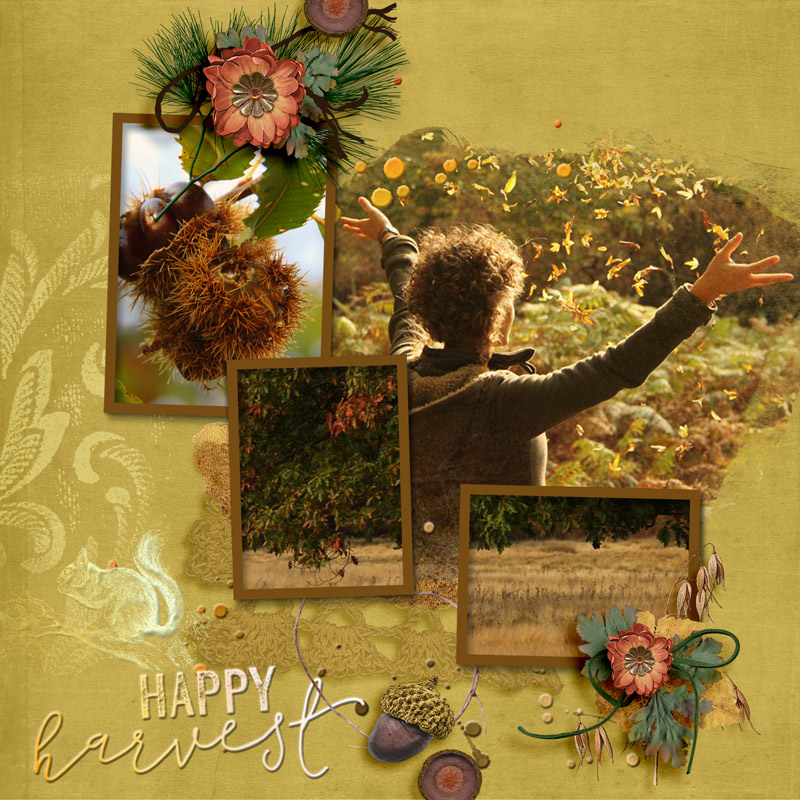 Happy Harvest