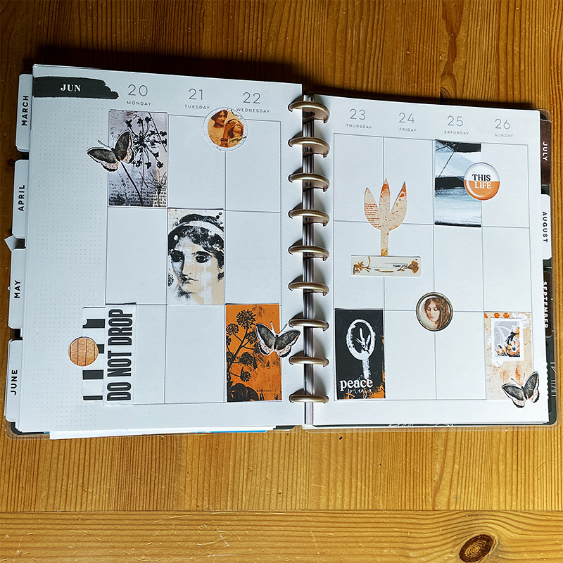 Happy planner (10)