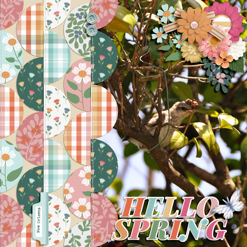 Happy Spring