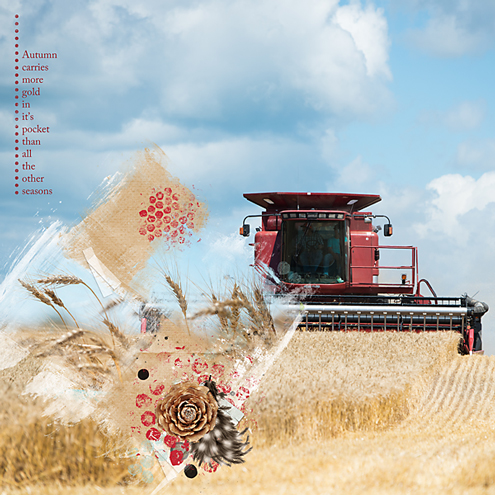Harvest 2015