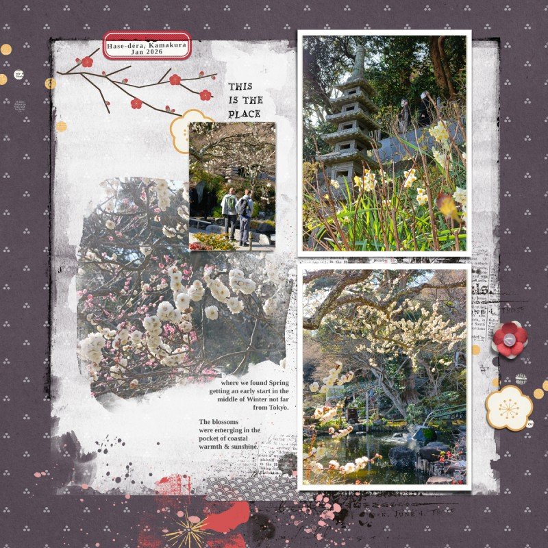 Hasdedera - Signs of Spring