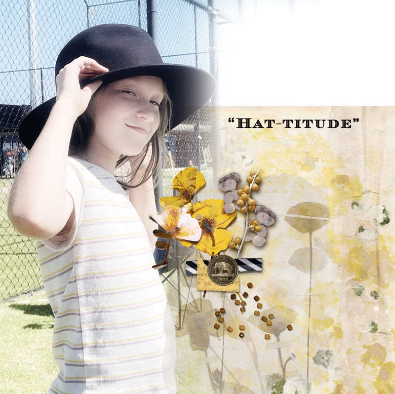 Hatitude-lp