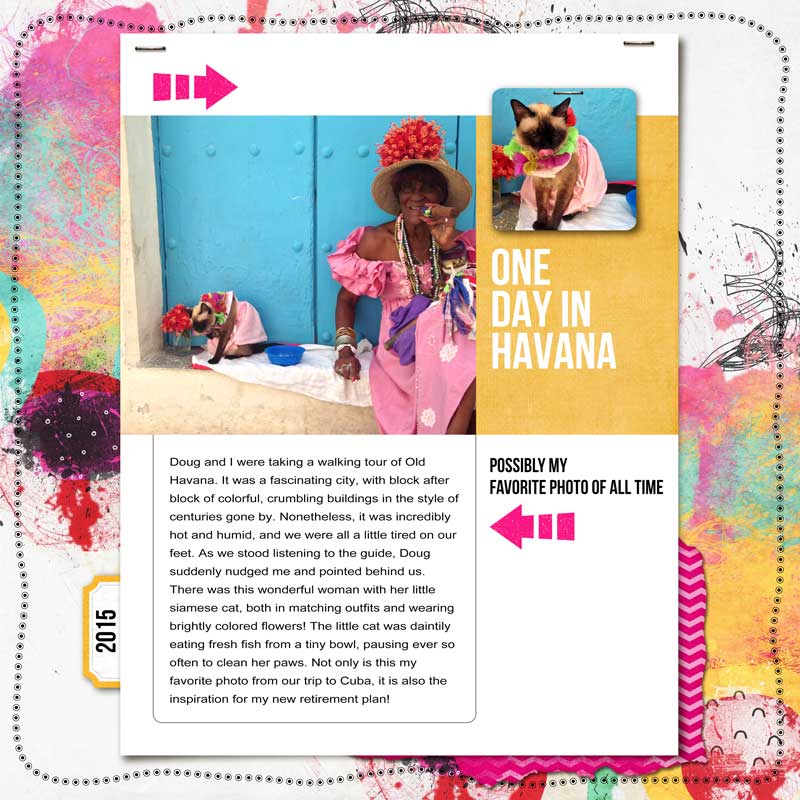 Havana-Cat