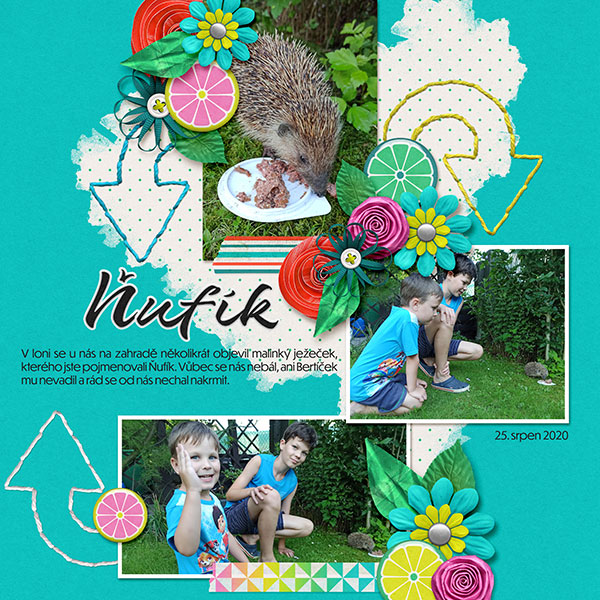 Hedgehog friend