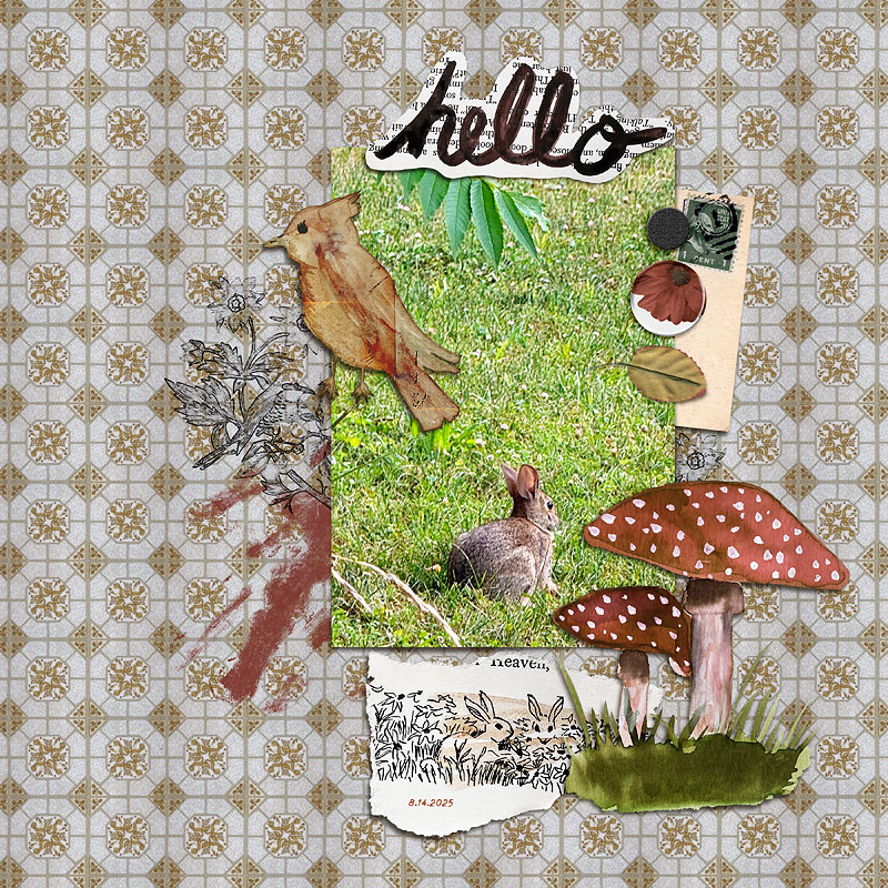 Hello (Aug 2025)