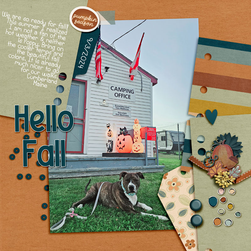 Hello-Fall-24