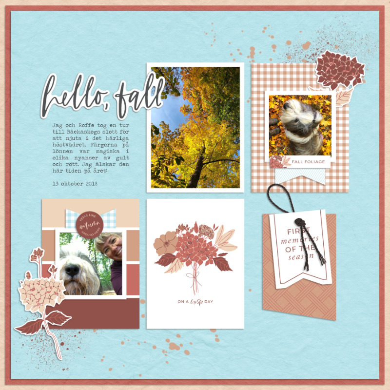 Hello fall!