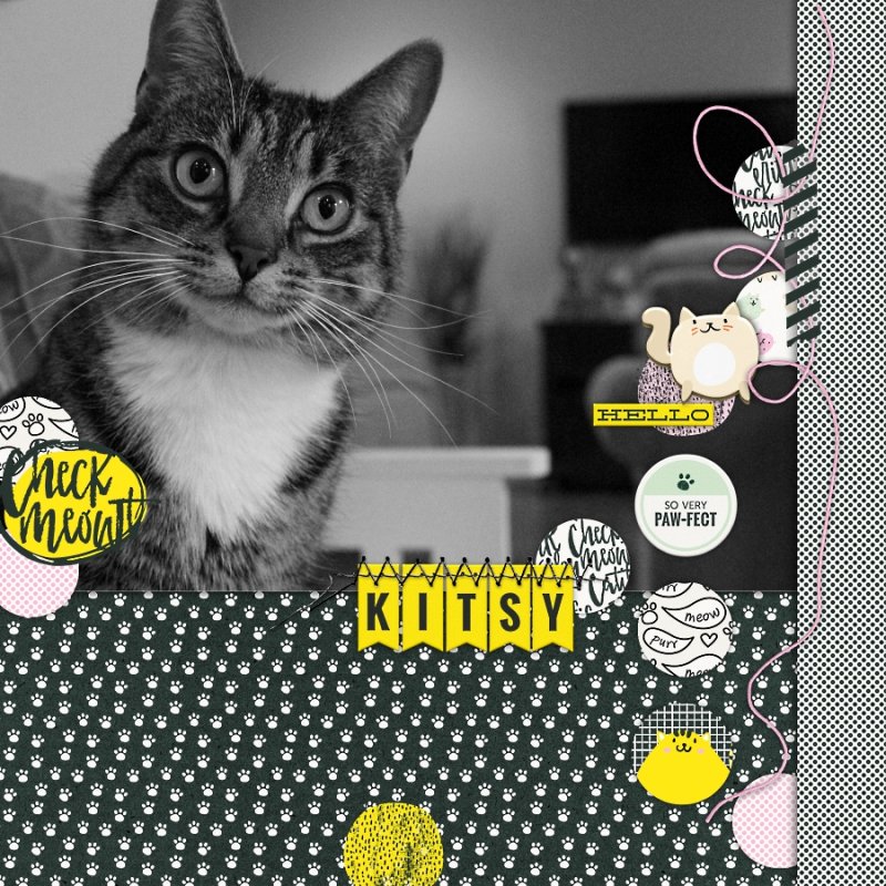 Hello Kitsy