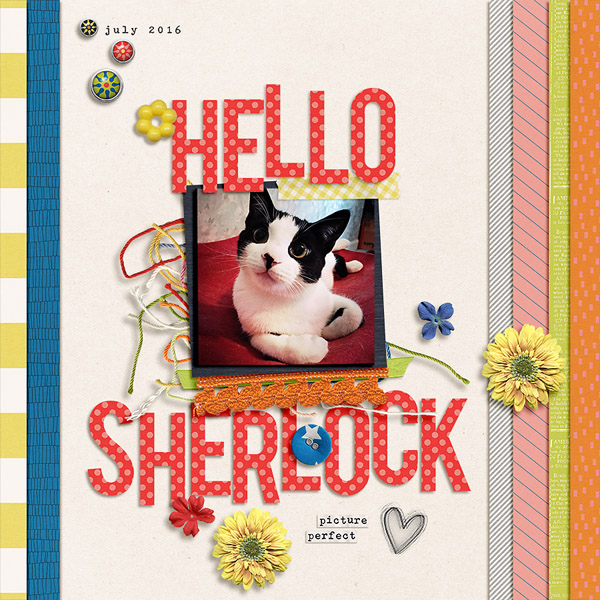 hello sherlock