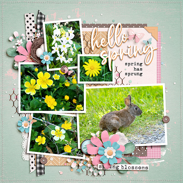 Hello Spring