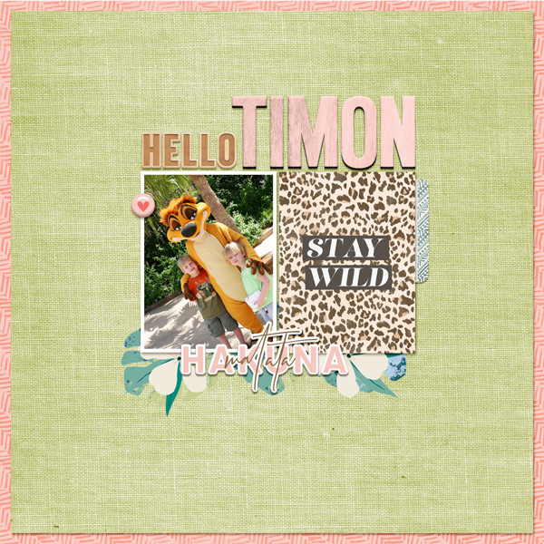 Hello Timon