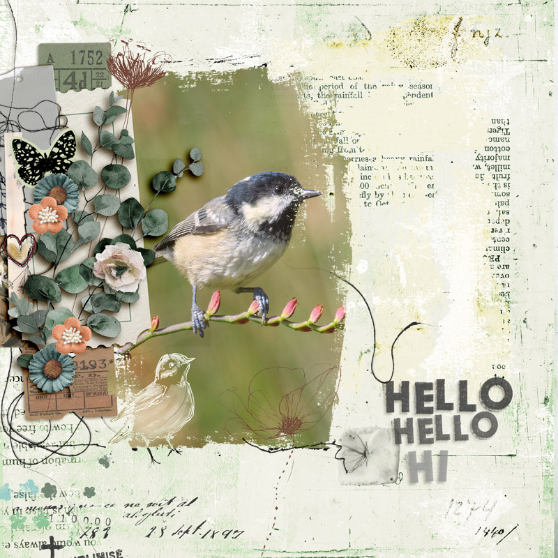 Hello