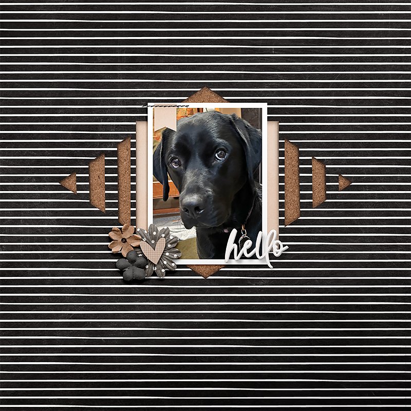 Hello