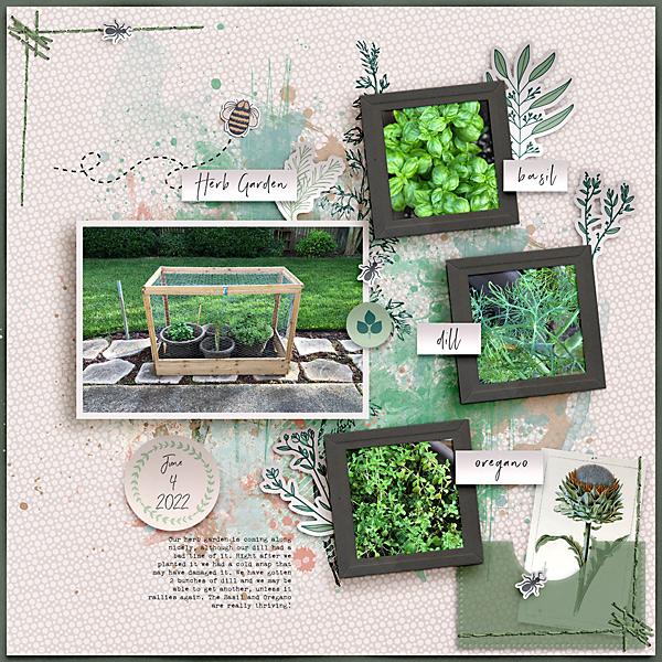 Herb Garden