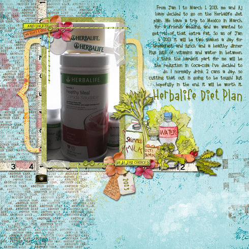 Herbalife Diet Plan