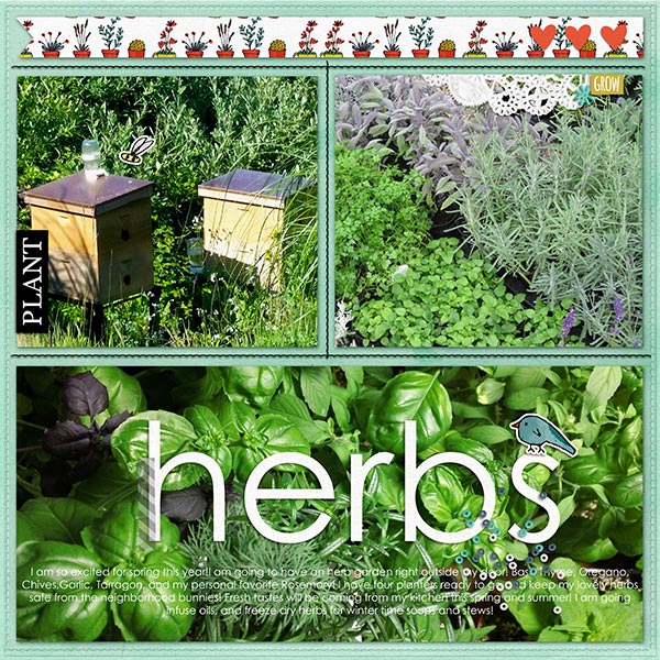 Herbs