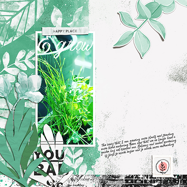 Herbs