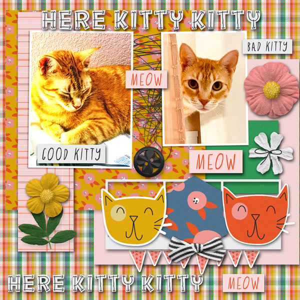 Here Kitty Kitty