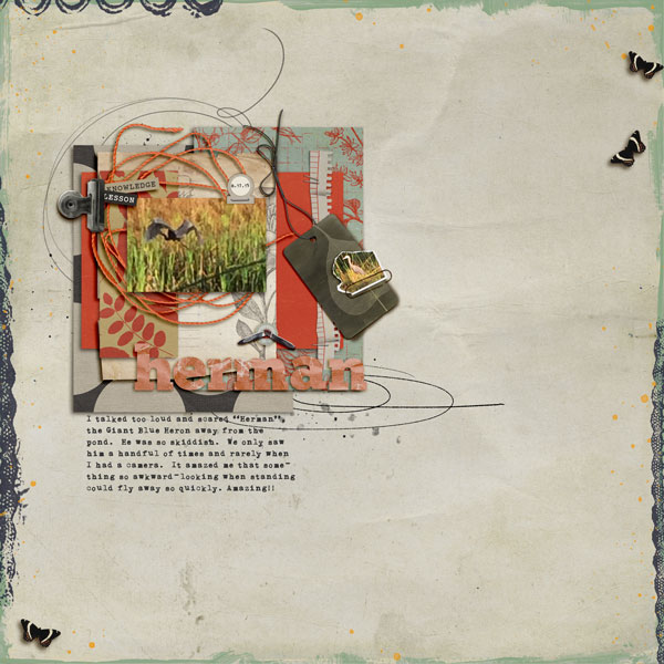 Herman - Polly Picks - Nancy Beck