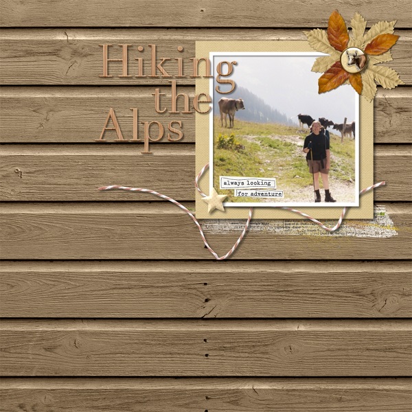Hiking The Alps