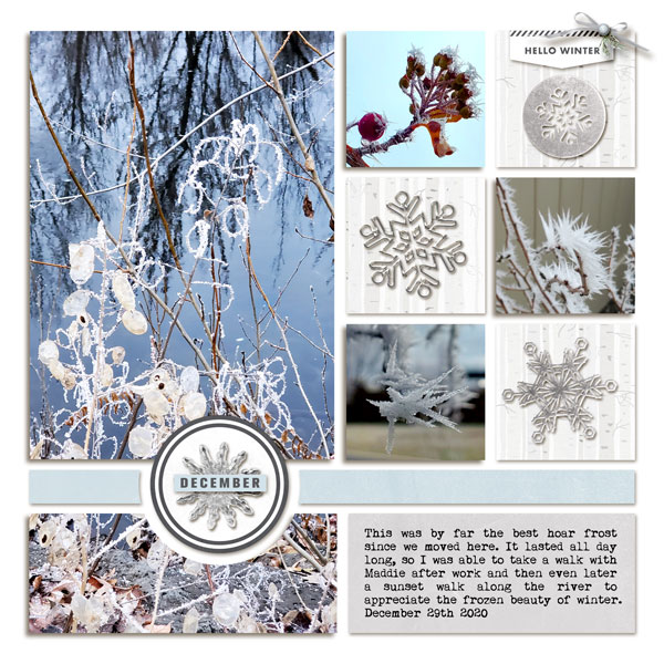 Hoar-Frost