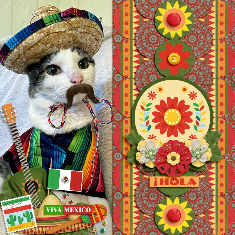 !Hola!