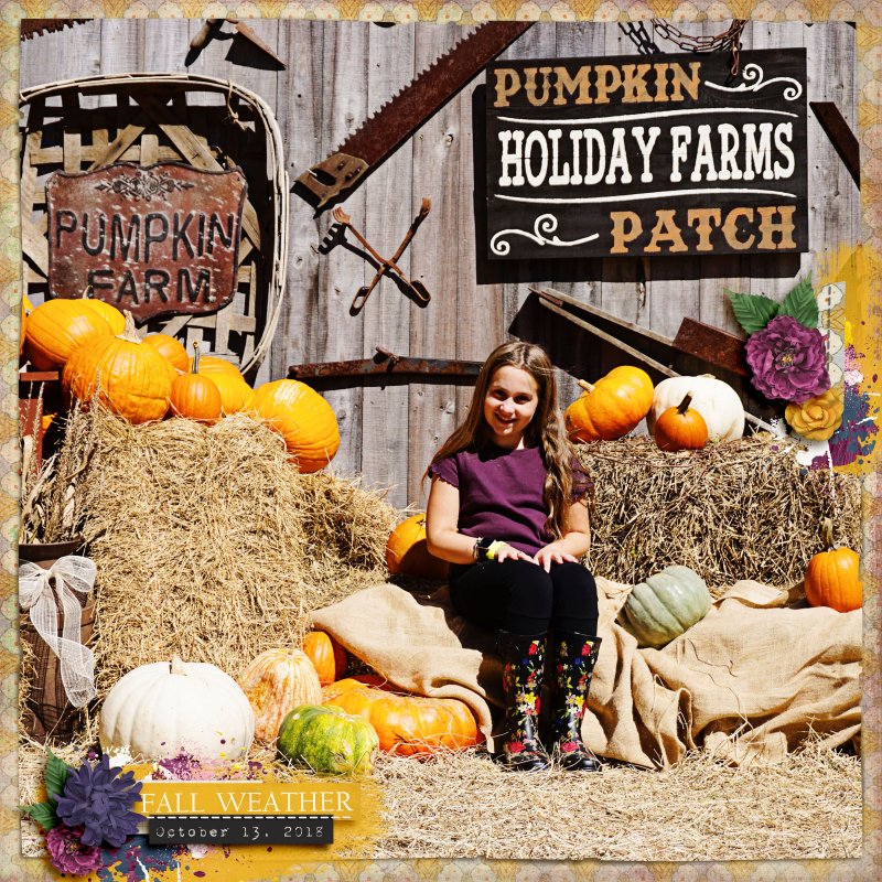 Holiday Farms
