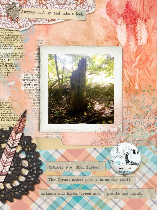 Hollow Tree