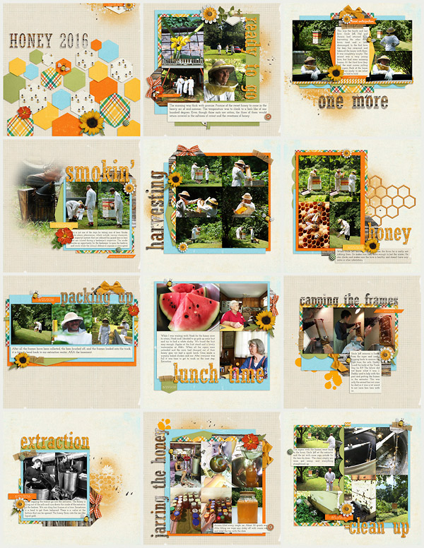 Honey Album 2016