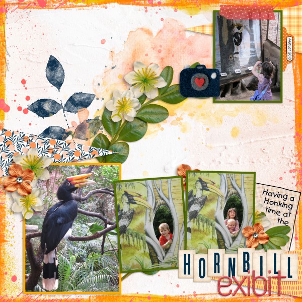 Hornbills