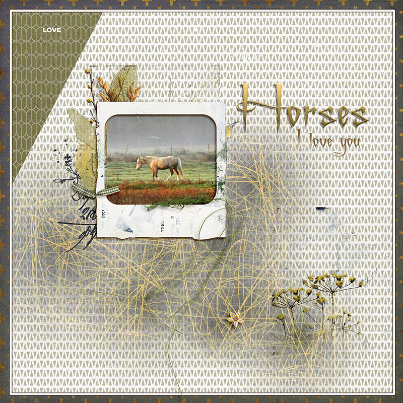 Horse