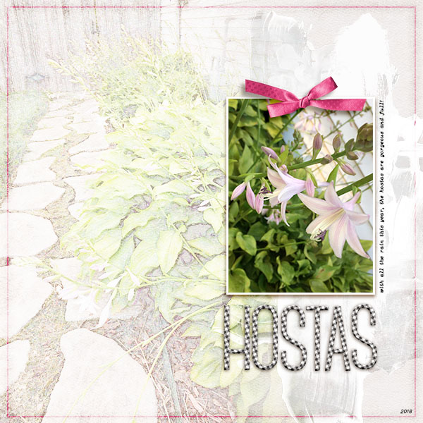 Hostas 2