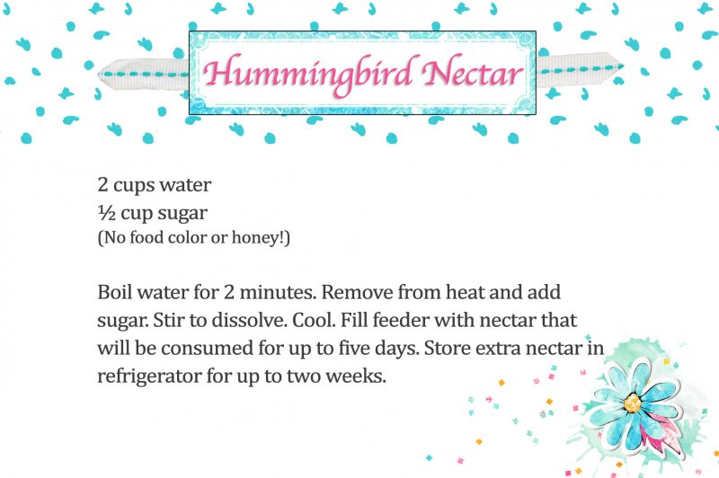 HummingbirdRecipeCard