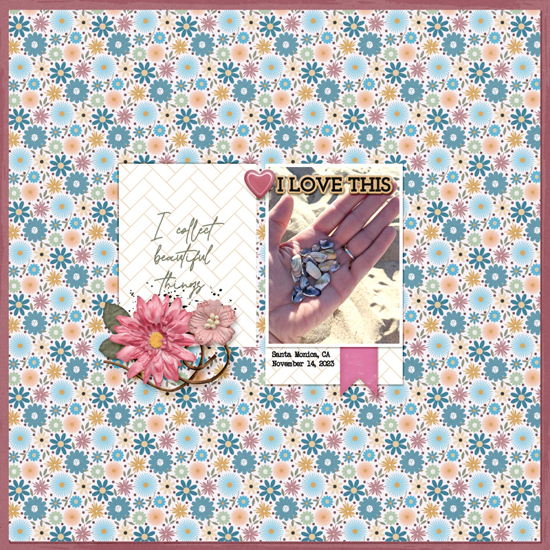 I-collect-beautiful-things