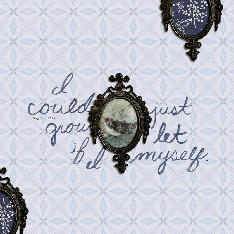 I Could