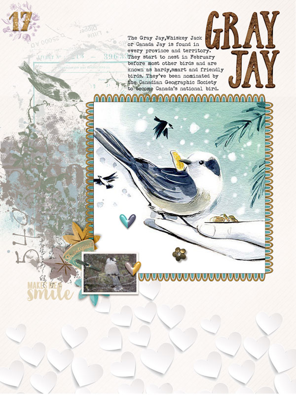 I (Heart) Gray Jays
