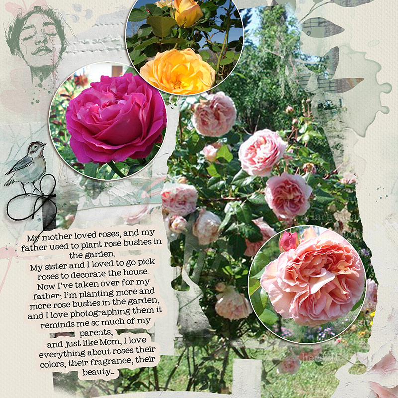 I Love Roses