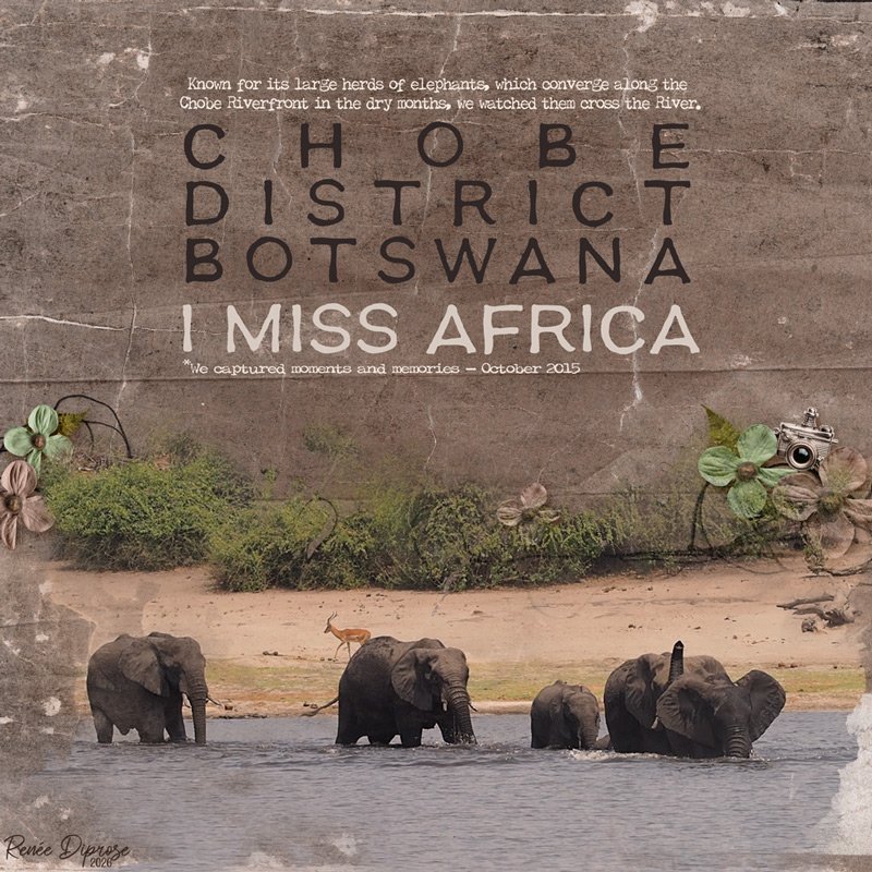 I Miss Africa