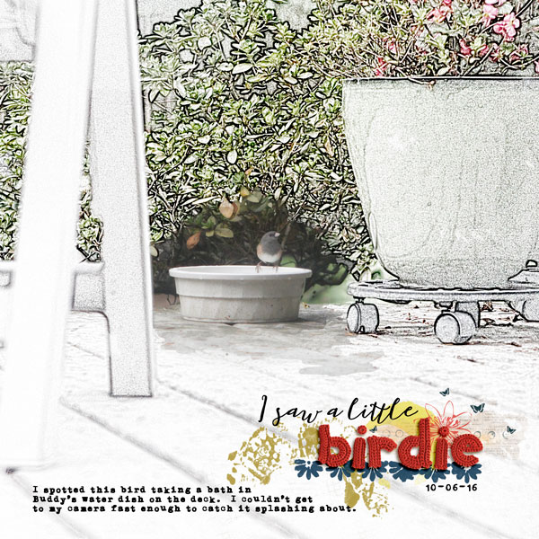 I Saw a Little Birdie ... - MOC5 - Day 25